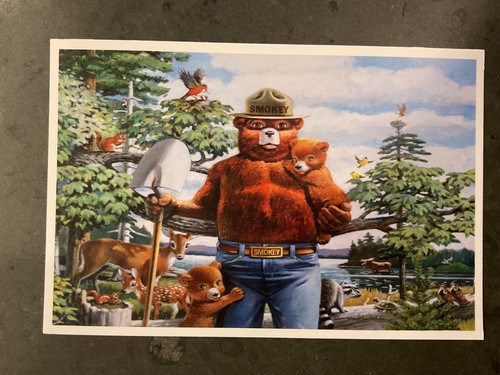 Smokey bear protect - bear,